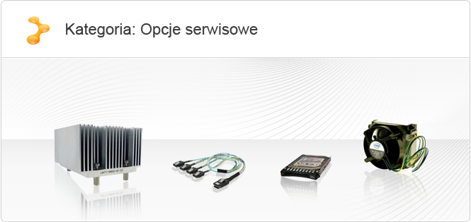 opcje serwisowe